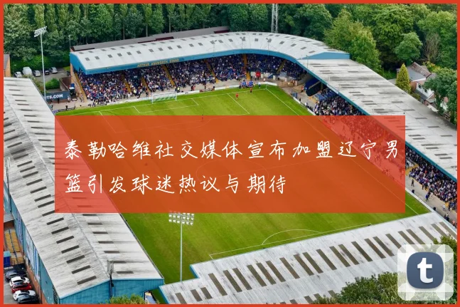 泰勒哈维社交媒体宣布加盟辽宁男篮引发球迷热议与期待